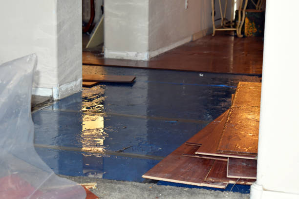 Professional Basement Flood Cleanup technician working in Mead, CO